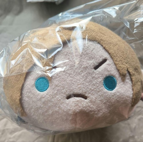 Biohazard Resident Evil CAPCOROM Big Plush & Mascot Leon CAPCOM STORE Juego de 2 - Imagen 3 de 6