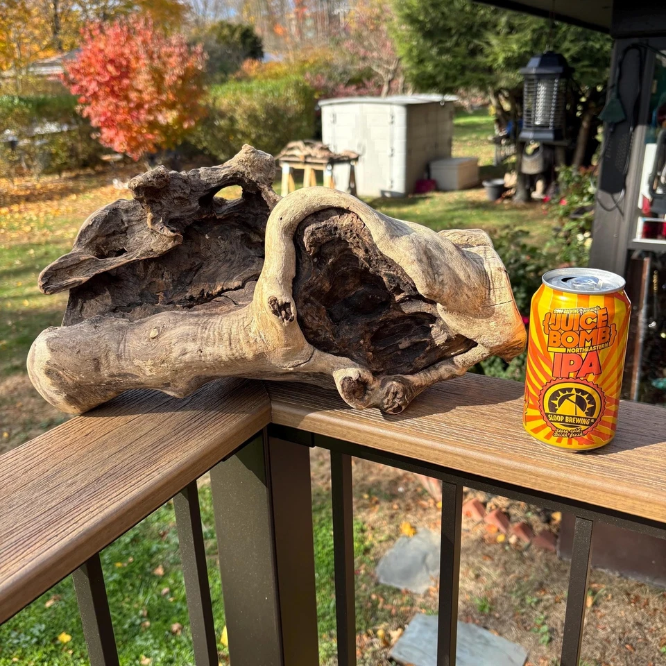 Hardwood Driftwood Sculpture 15x7x8.5 – Dense Natural Wood with Openings - Image 2 of 4