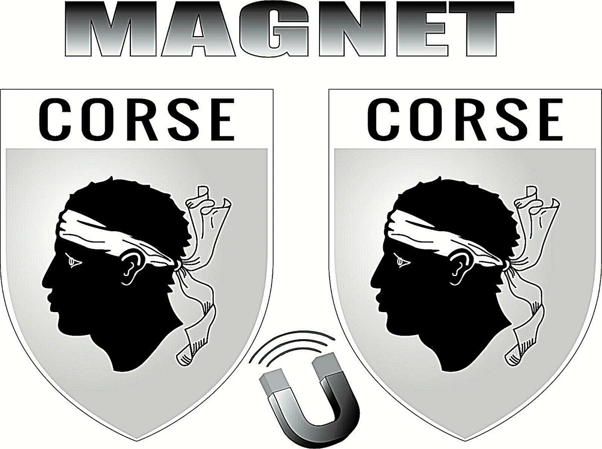 MAGNETE CALAMITA FRIGO FRIDGE MAGNET SICILIA CHE MINCHIA GUADDI (SOLITI IDIOTI