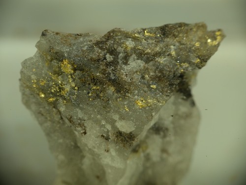 GOLD from Canada * NICE THUMBNAIL SPECIMEN * 1,6 cm - Picture 5 of 5
