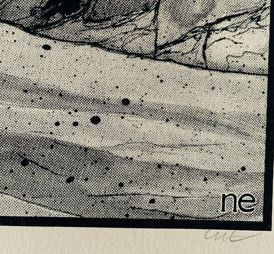 Picture 4 of 6