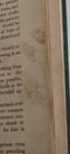 Bild 12 von 16