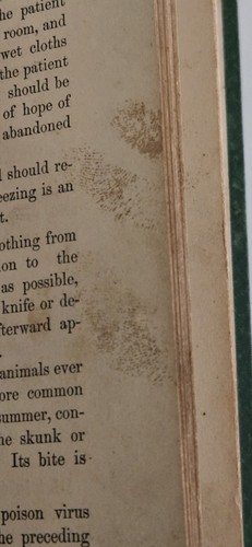 1877 HAUSHALTSHANDBUCH Hygiene, Essen, Ernährung, Krankheiten, Notfälle, Tipps, Rezepte - Bild 12 von 16