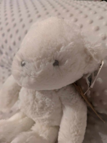 Next My Best Friend White Bear Plush Soft Toy With Tags - Picture 2 of 9