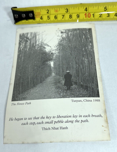 Thich Nhat Hanh Vintage Post Card - Super Rare Namaste Awakening Enlightenment - Picture 3 of 4