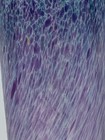 Foto 7 di 14