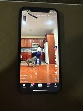 iphone 11 unlocked