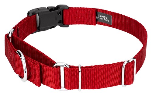 Country Brook Petz® Heavy Duty Nylon Martingale Dog Collar with Deluxe Buckle - Picture 5 of 45