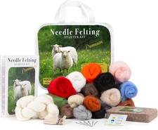 Needle Felting Kit for Beginners Wool Craft Set with Tools and Storage Case