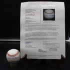 Ted Williams Signed Rawlings OAL Baseball Red Sox Autograph JSA LOA ZJ22901