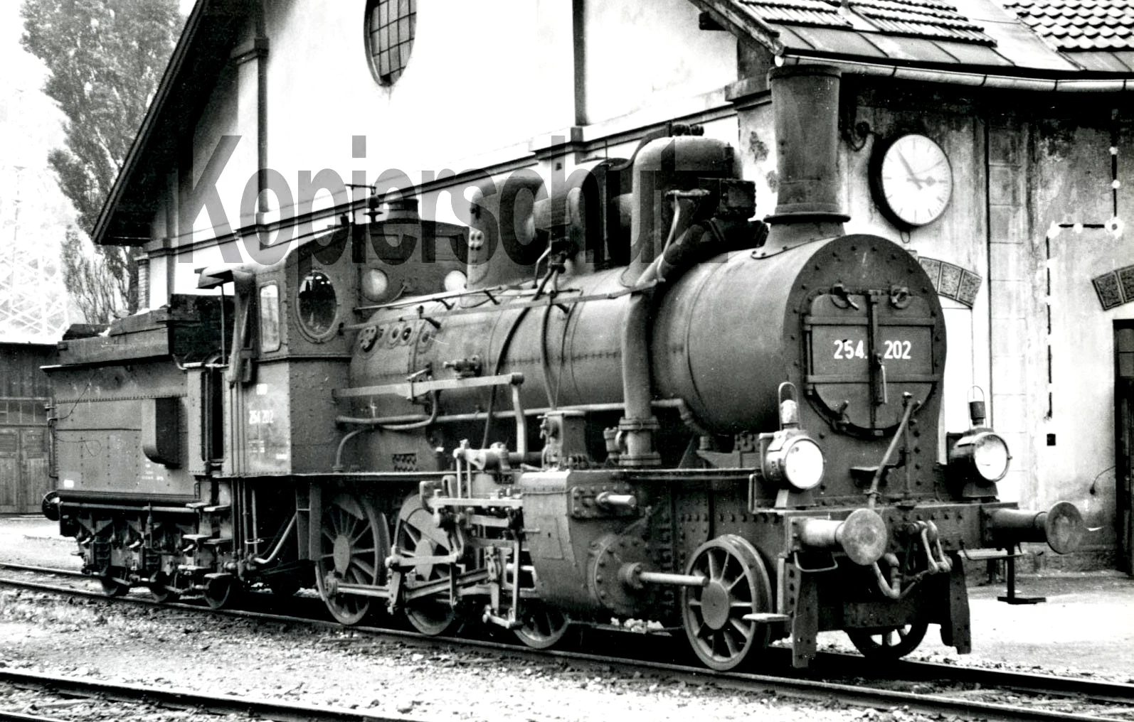 Dampflok Foto - ÖBB 54 202 (254.202) in Selzthal am 12.7.1956 - Bild 1 von 1