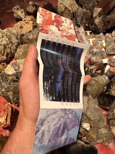 1992 SWALLOW BLOW SHOEGAZE ETHEREAL CASSETTE RARE 4AD - Picture 5 of 6