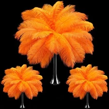 Maitys 90 Pcs Large Natural Ostrich Feathers Bulk 14-16 Inch 35-40cm 12-14