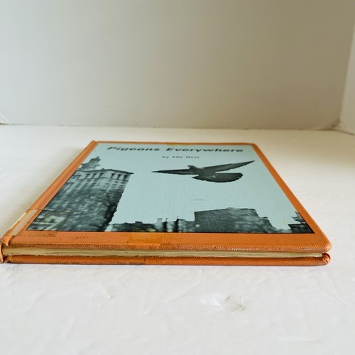 Vintage Children's "Pigeons Everywhere" Lilo Hess 1967 Birds Science Animals - Bild 4 von 16