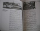 Picture 3 of 8