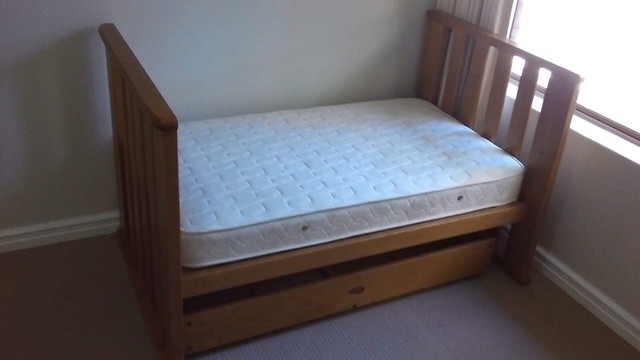 paddington cot bedding