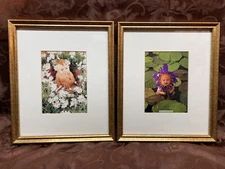 2 EUC Anne Geddes baby prints, Waterlily, Daisy, 13"x11" framed under glass