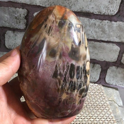 Madera Petrificada Madagascar COLOR GLORIOSO REDONDA - ¡Araucaria BRILLANTE! 735g d872 - Imagen 12 de 12