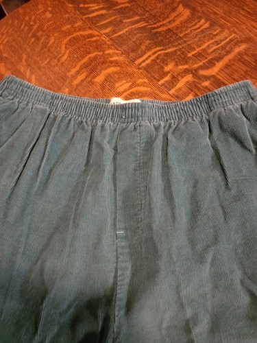 2 Pr.Cabin Creek Women's Teal Green & Brown Elastic Waist Corduroy Pants Size 16 - Picture 2 of 11