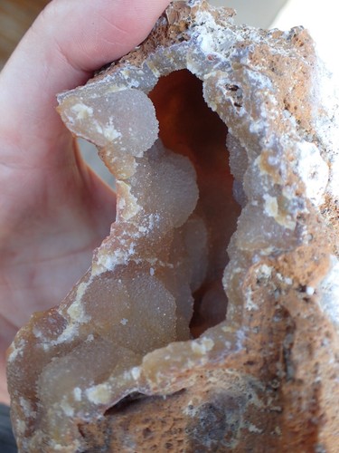 Botryoidal Fossil Coral Geode GA Druzy Crystal Prime Specimen Collectible WC136 - Picture 12 of 12