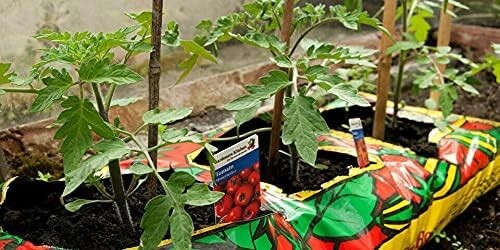 3 Pflanzen Kompost Boden Growbag Bio Dünger 24L Tomaten Gemüse Blume - Bild 5 von 6