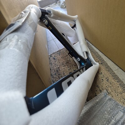 LOOK 795 BLADE DISC FRAMESET(2023,NEW) | eBay