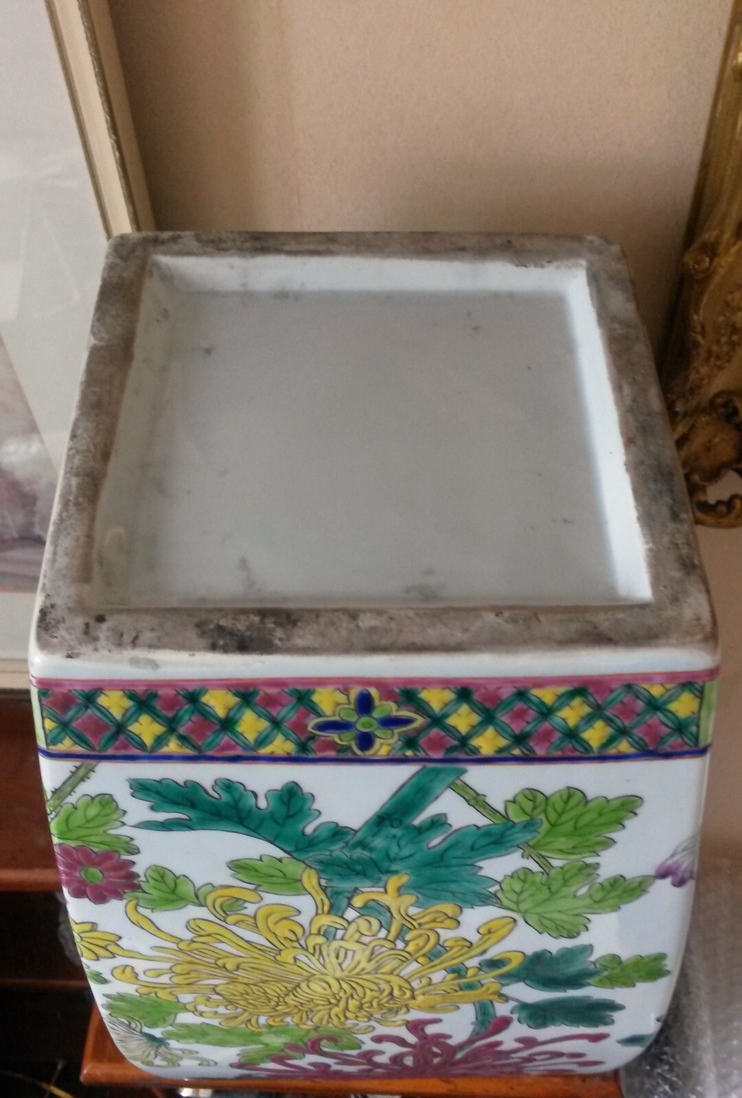 Picture 6 of 6