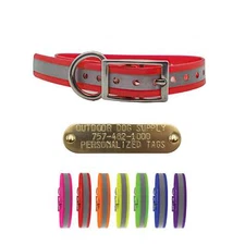 3/4" Reflective Premium Collar w/ Stainless Steel D ring & Buckle and Custom Tag