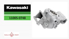 Kawasaki OEM 11005-0748 Cylinder-Engine 2022-2023 KX85 KX 85 From Japan