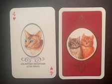 Swap Playing Card  CATS   Lynx Point   FOUR OF HEARTS   Bridge Size BELGIUM 1988