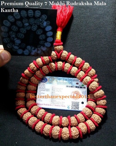 7 Mukhi Rudraksha / 7 Face Rudraksh Mala / Mahalaxmi Mala -54 Beads- Certified - Picture 1 of 4