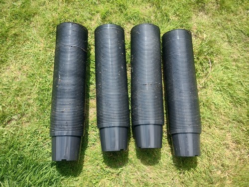 200 large black plastic 3l plant pots Bulk Gardening Compost Mature Plants - Picture 2 of 4