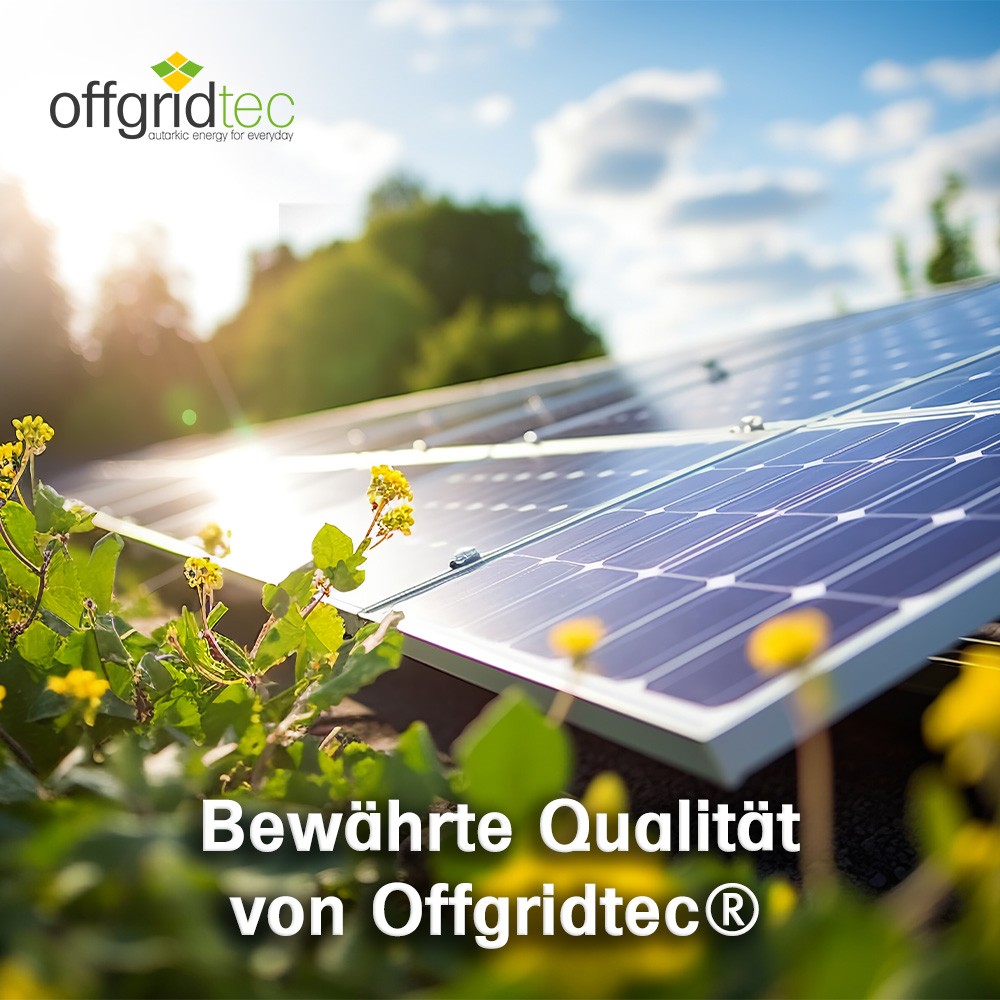 Bild 10 von 11