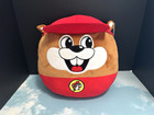 Bucees Pillow Collectible Plush Cuddle And Soft Squishy Buc-ee’s 17x17 NEW NWT