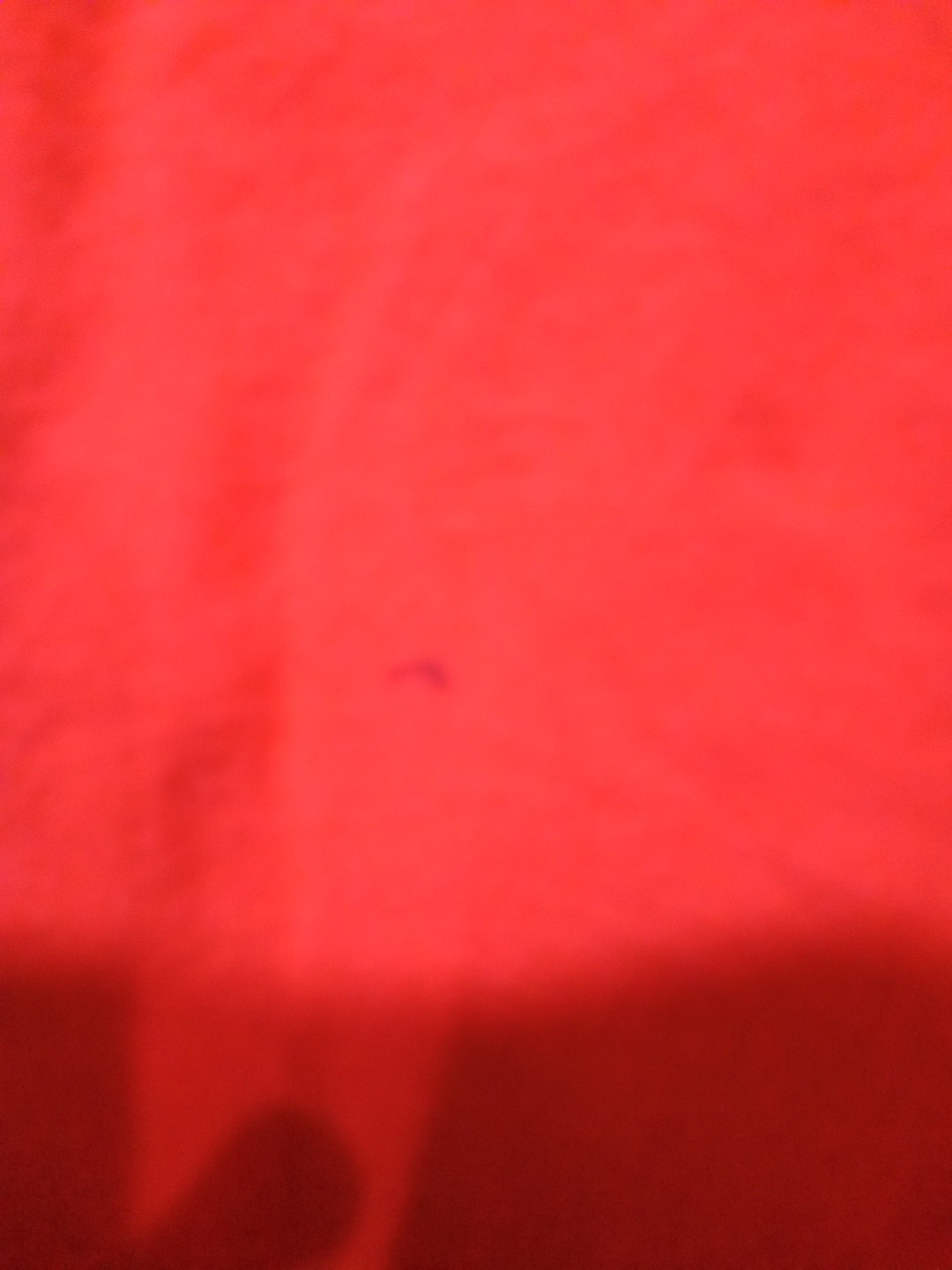 Bild 4 von 7