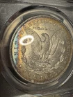 1900 Morgan Dollar PCGS MS63 Toning