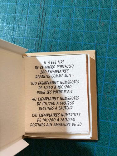 BUCHET FÉÉRIE (NAVIS) MICRO PORTFOLIO POUR VOEUX - 260 ex. n°/signés SÉRIGRAPHIE - Picture 3 of 21