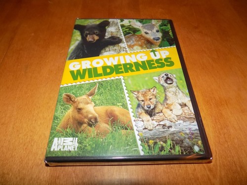 GROWING UP WILDERNESS Animal Planet Baby Animals Animal Wolf Bear Deer DVD NEW - Bild 1 von 2