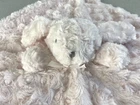 Blankets and Beyond Bunny Plush Lovey Security Blanket Pink Rosette Swirls