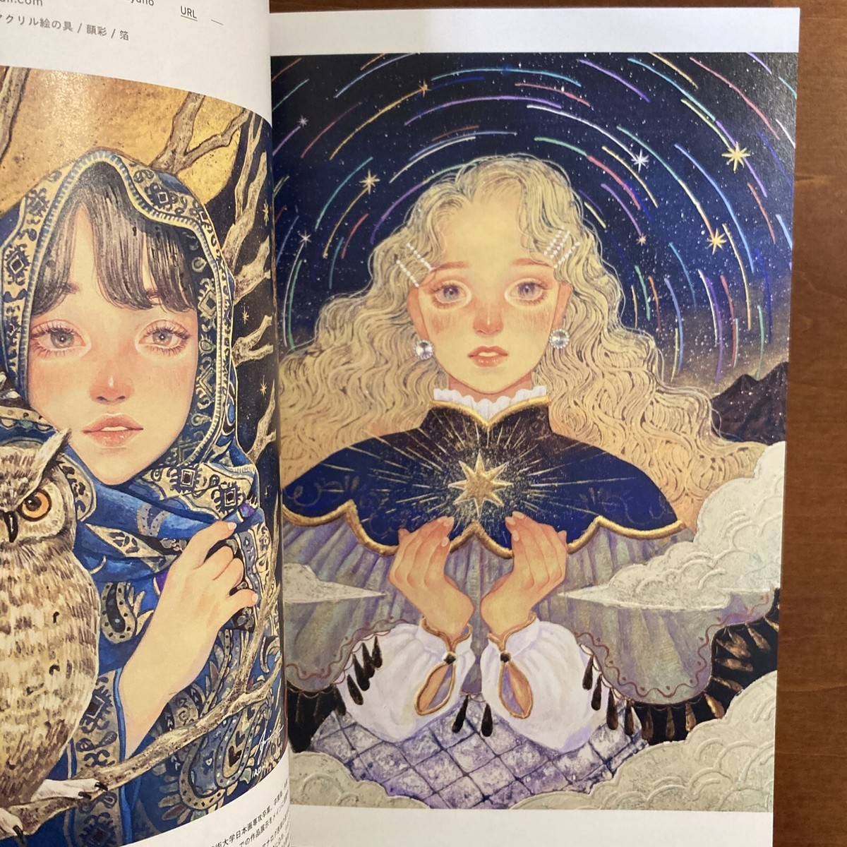 Illustration 2024 Art Book ORCEIN Nezumi YOMIYA Sateko KORIYU