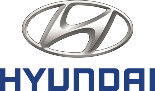 81999G3020 - KEY-BLANKING PIC IMMOBILIZER ( - Hyundai