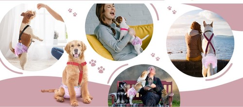 Pet Soft Dog Suspenders to Help Hold up the Diaper, 2 Pieces - Picture 12 of 12