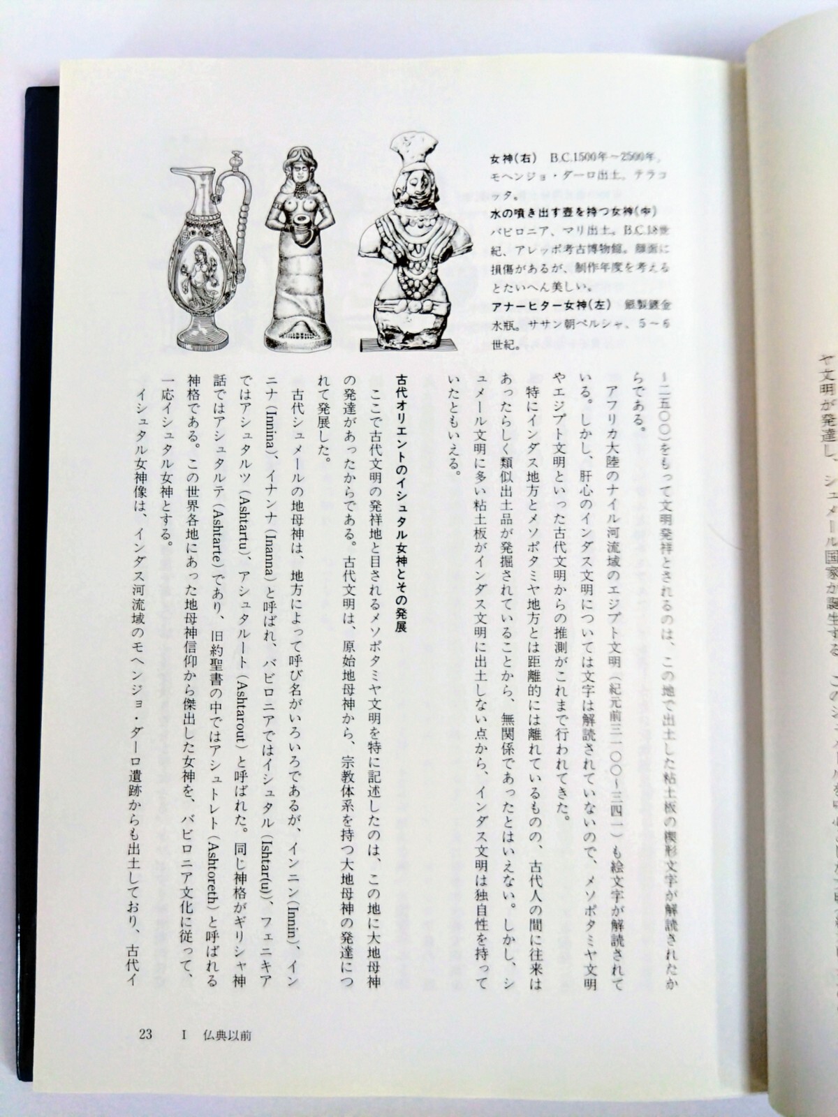 Picture 13 of 13