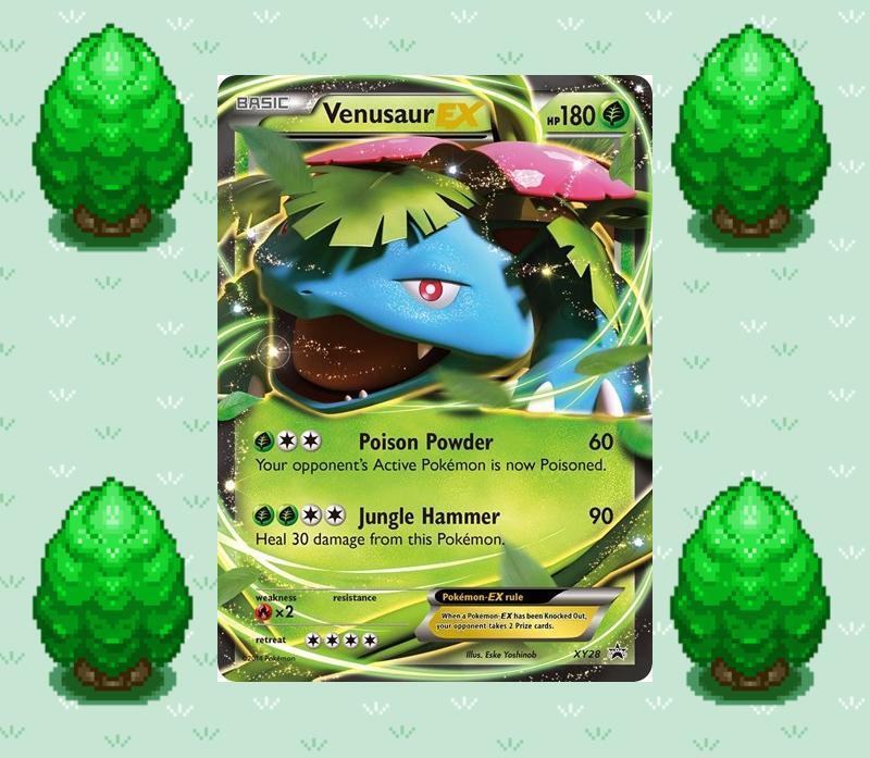 Pokemon Venusaur EX XY28 XY Promo HP eBay
