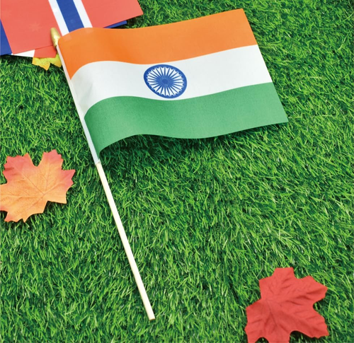 12 Pack Small 5X8 Inches India Flags on Wood Stick, Polyester, High Quality - Picture 4 of 6