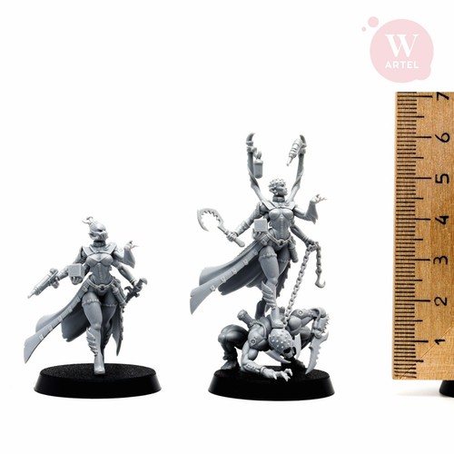 Fleischschalen Priesterin Artel W Haemonculus Succubus Archon Talos Urien Wracks - Bild 17 von 17