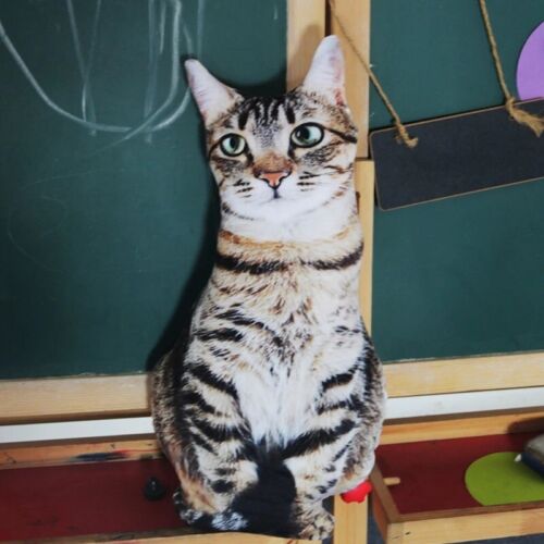 50cm Cute Lifelike 3D Cat Plush Toys Stuffed Soft Animal Doll Simulation Pillow - Picture 13 of 20