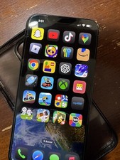 iPhone 13 Pro Max With TikTok 