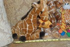 (7) Wonderful Giraffes Collection of Various Sizes - Stuffed Animals - Soft Toys — photo 4