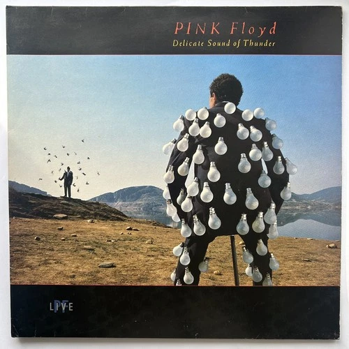Pink Floyd Delicate Sound of Thunder • 1988 Vinyl LP Album • VG / VG+ Very Good